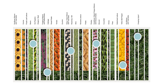 ASLA 2010 Professional Awards